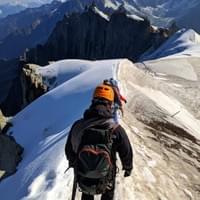 Miel montagne