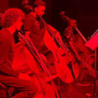 Temple Symphony Orchestra