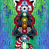Chakra Red Panda