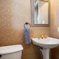 Powder Bath before