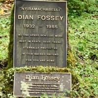 Tombe de Diane Fossey