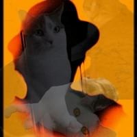 Cats Guard My Dreams #1