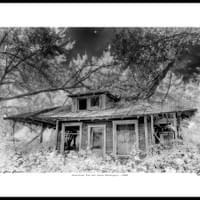 HOMESTEAD
