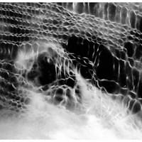 VEIL