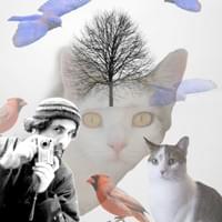 Cats Guard my Dreams #2