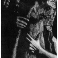 TREE HUGGER
