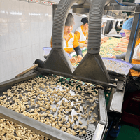 越南腰果工廠參訪