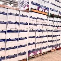 加州核桃工廠參訪(不允許拍攝工廠內部)