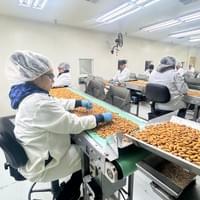 加州杏仁果工廠參訪