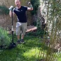 Volunteer gardener in Westminster