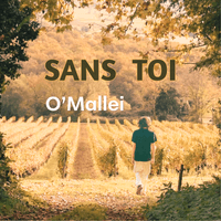 SANS  TOI