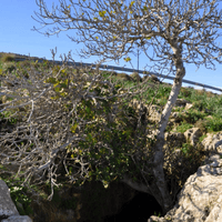Höhle von Eileithya