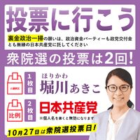 投票に行こう【比例近畿／京都2区】堀川あきこ