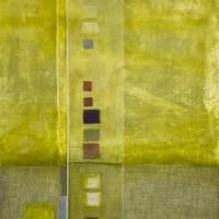 Moss in February Sunlight