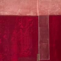 Wineberries under the Moon