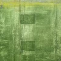 Never Hurry through a Tree but Walk Slowly