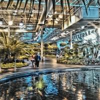 Devonian Gardens
