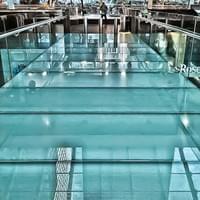 Glass Bridge Devonian Gardens