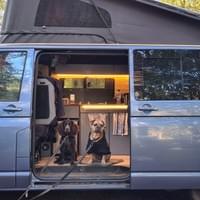 The Entrepreneurs (AKA owners)