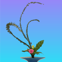 broken image