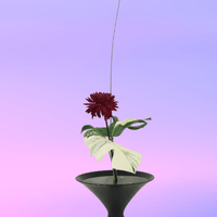 broken image