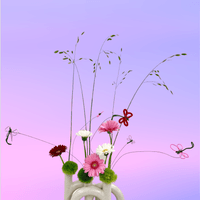 broken image