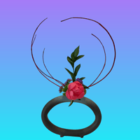 broken image