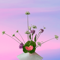 broken image
