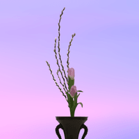 broken image