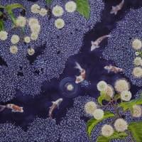 鯉聽花開Listening to Bloom