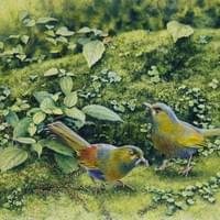 綠野仙蹤 Little Forest