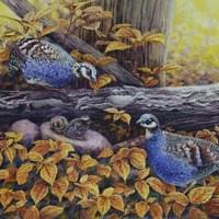 金秋守望 Golden Autumn Vigil