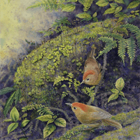 2025 苔間細語 Mossland Whispers