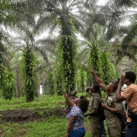 FORMATION AVEC COOPTOSA COOPA