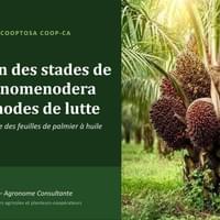 FORMATION AVEC COOPTOSA COOPA