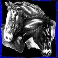 FRIENDS Horse Rescue