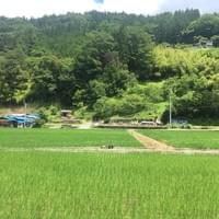 長野県・大鹿村