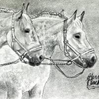 Pair of Appaloosa (2026)