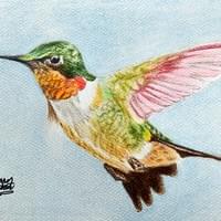 Colorful Flyer (2024)