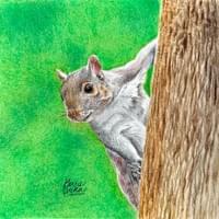Curious Critter (2026)