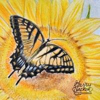 The Butterfly and Sunflower