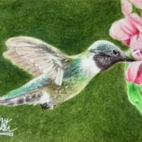 Hungry Hummer