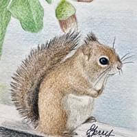 Chippy looking for his acorns!
