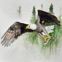 The Symbol of Liberty