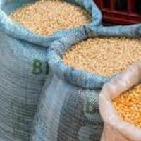 Maize