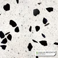 REG5474
