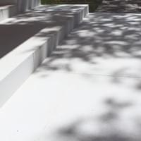 SB100