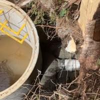Mt Albert, Public Drainage