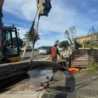 Birkenhead | 8-Lot Residential