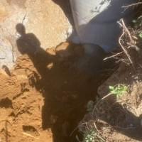 Mt Albert, Public Drainage